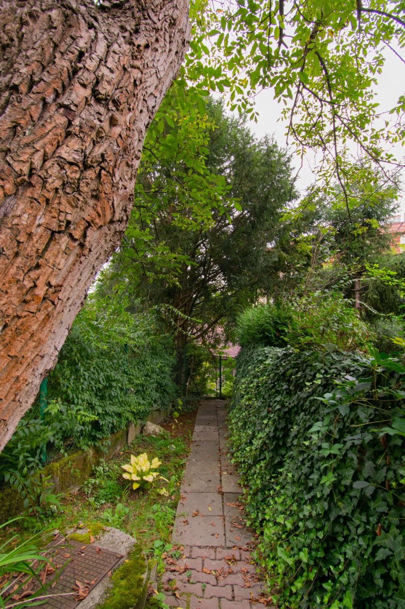 House With Garden Krolowej Jadwigi Street